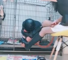 【冷酷爷】喂食囚禁 bf10669