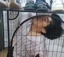 【小猫咪】关在狗笼里的废物狗【双视角】JS22090301