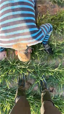 【辣姐】犬化爱好者!户外-骑马/长靴碾压踩/泥巴窒息 bf47553