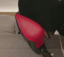 【甜依】圣水黑丝高跟耳光 bf8879