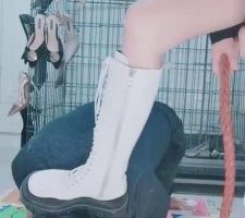 【冷酷狗】长靴/高跟狠踹狗 bf10689