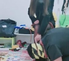 【冷酷爷】圈养家奴被玩弄的一天 bf11052