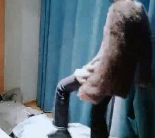 【景德镇】全程踹头档 bf21858