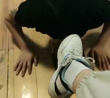 【诺诺子】暴力鞭打白袜踩踏改正狗子坏毛病 bf26734