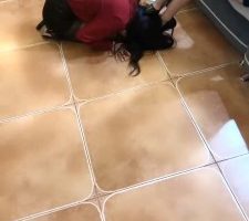 【女仆店S】你们的女神我的狗-满地爬/转胯/舔鞋 bf29465