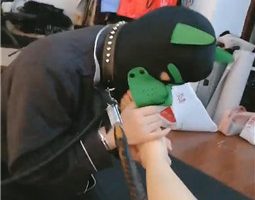 【冰女王】手铐捆绑犬化圈养奴【完整版】 JS231117-6