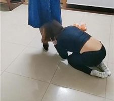 【广东迪迪】双S-母畜下跪伺候【双视角版】 bf35885