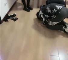 【天津女仆店】新来的小姐姐做S-首调夫妻奴 bf36454