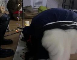 【最浪女慕】女仆店素人群调情侣奴 JS240102-3