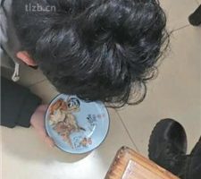 【yukis】户外饭店餐厅t狗奴 JS240112-7