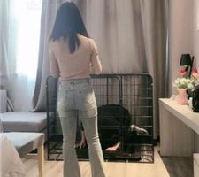 【小雅老师】狗笼圈养犬化绿帽前任【上】 bf38458