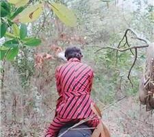 【伯爵】户外骑马驯化专场 JS240317-3