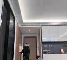 【妆主大大】双犬竞选家奴-物化坐垫-除臭器-烟灰缸-出气筒 bf39263