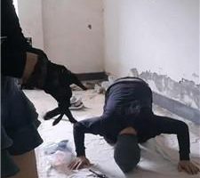 【芝芝】双S-户外工地-暴力教训不听话的狗 bf40346