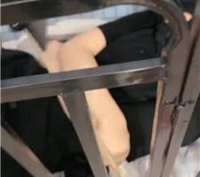 【禾未】狗笼囚禁/藤条鞭打/黑丝高跟美腿诱惑 bf40810