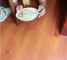 【语小心】圈养奴脚下喂食 JS240921-1