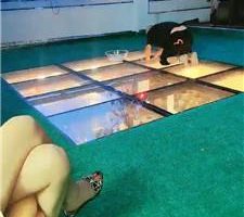 【圈养基地】现场直播圈养奴日常 JS240930-2