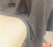 【白鹭】真实开发平台助教全过程 bf45142