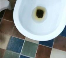 【灵汐】清晨伺候主子起床-舔马桶喝漱口水 JS241028-41