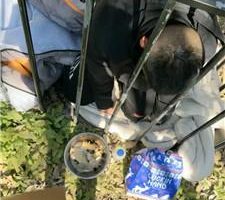 【沅芷大人】女主下班看狗笼圈养奴 JS241106-2