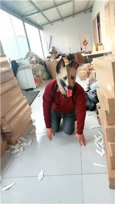 【小原妈妈】彻底训化人形犬 JS241209-27