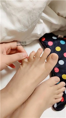 【霸王花】灯    250212-3