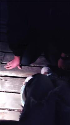 【小诗】户外-无底线羞辱骚奴 JS250407-25