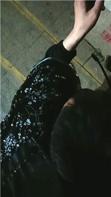 【珍惜女王】户外拴狗链遛狗 JS250512-13