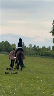 【冷兮】骑马骑“马” JS250611-19