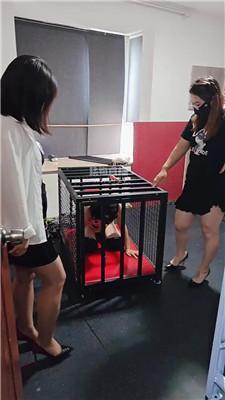 【唯雅】双S-囚禁狗笼强行虐 JS251010-11