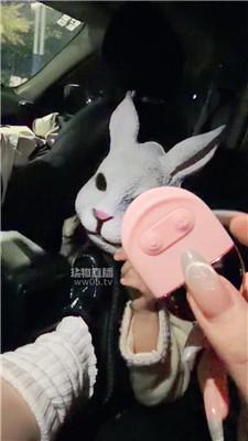 【维妮】户外羞辱可爱闺蜜犬 JS251109-23
