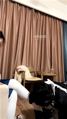 【Cat殿下】可爱小主虐cd狗 JS260102-24